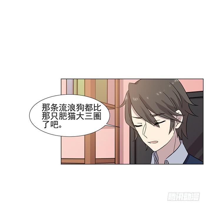《双喵图腾》第040话 第17页