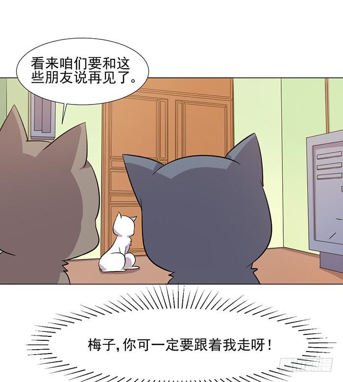 《双喵图腾》第040话 第23页