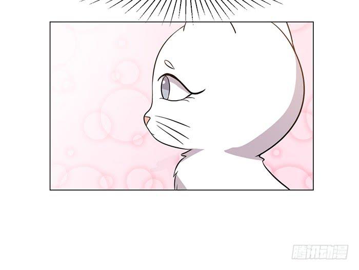 《双喵图腾》第040话 第24页
