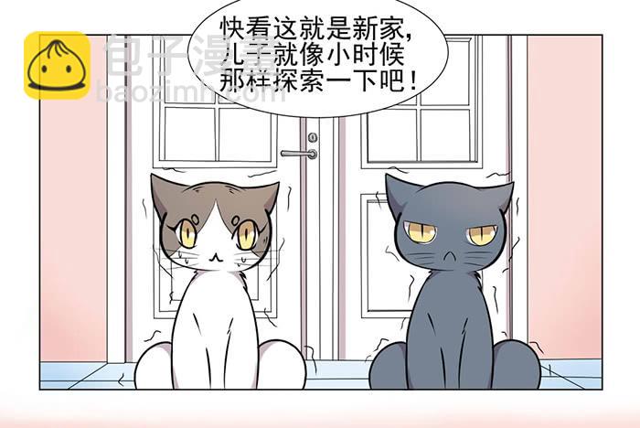 《双喵图腾》第040话 第25页