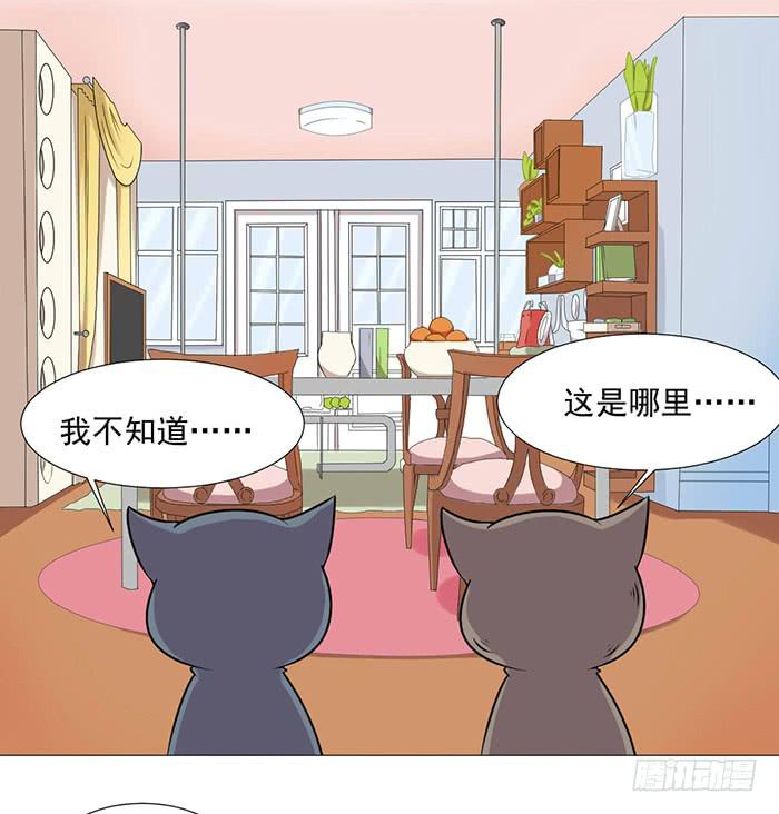《双喵图腾》第040话 第26页