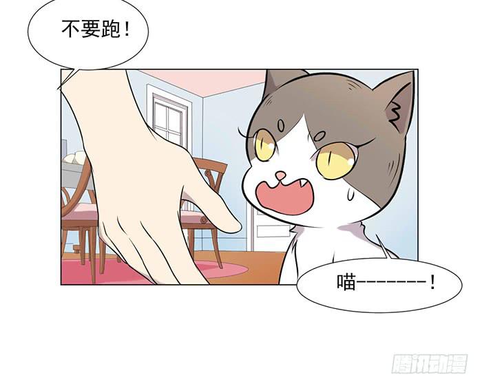 《双喵图腾》第040话 第27页