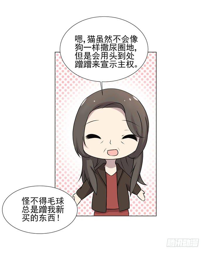 《双喵图腾》第040话 第29页