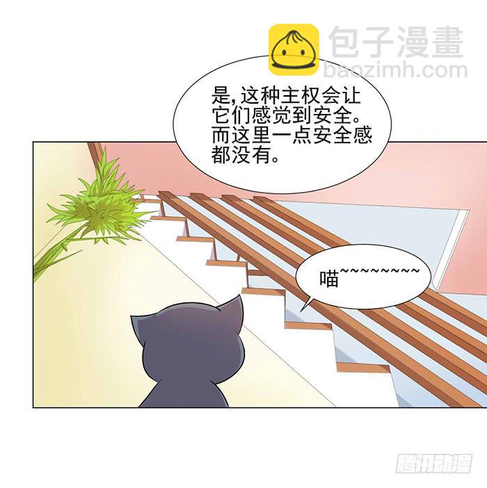 《双喵图腾》第040话 第30页