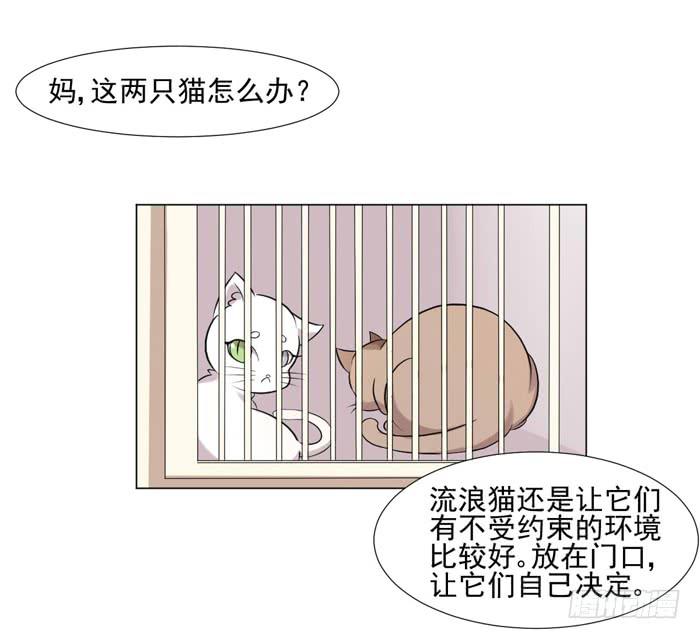 《双喵图腾》第040话 第32页