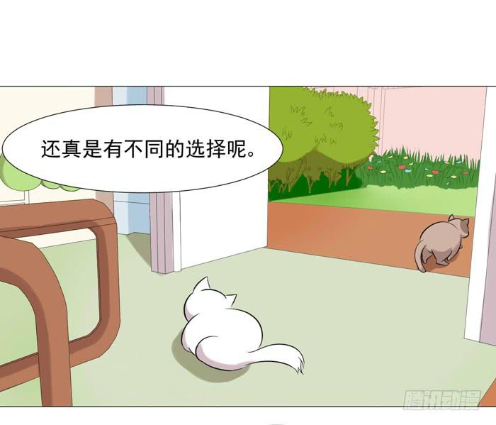 《双喵图腾》第040话 第34页