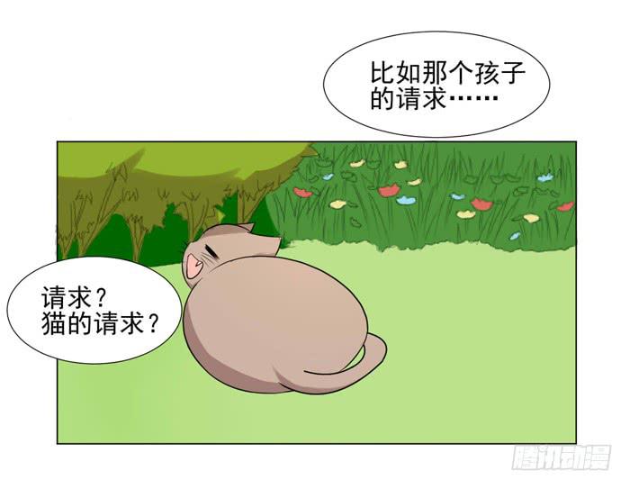 《双喵图腾》第040话 第39页