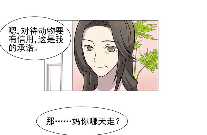 《双喵图腾》第040话 第40页