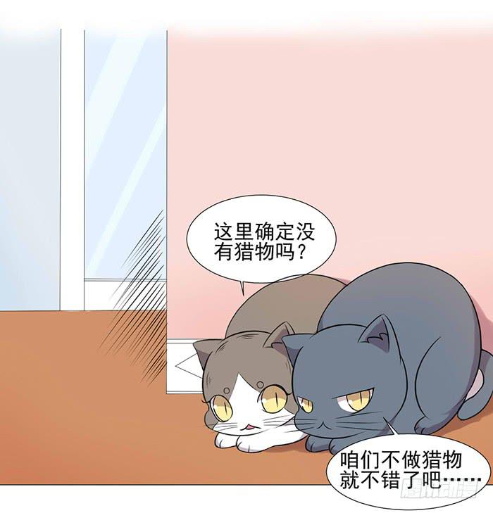 《双喵图腾》第040话 第42页