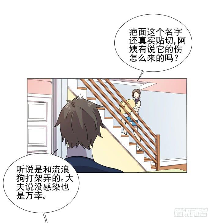 《双喵图腾》第040话 第45页