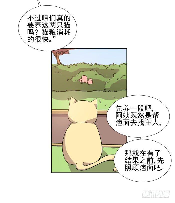 《双喵图腾》第040话 第46页