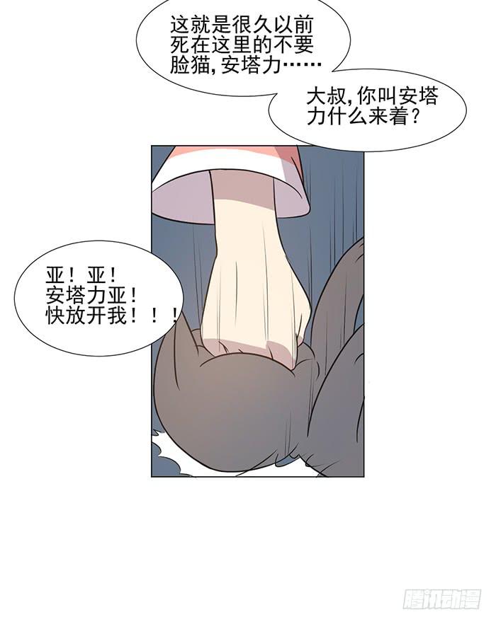 《双喵图腾》第041话 第13页