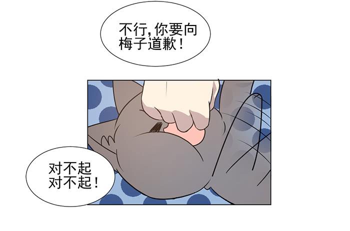 《双喵图腾》第041话 第15页