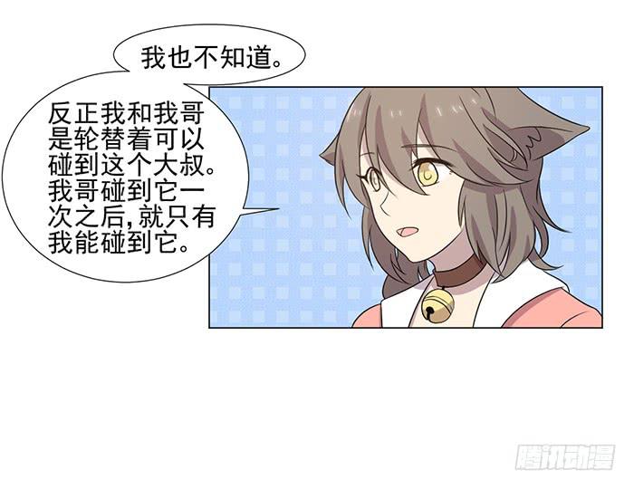 《双喵图腾》第041话 第17页