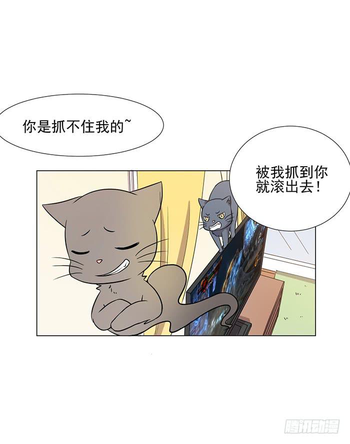 《双喵图腾》第041话 第23页