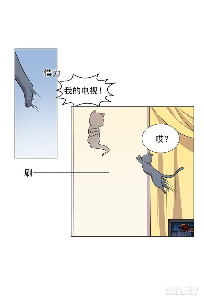 《双喵图腾》第041话 第24页