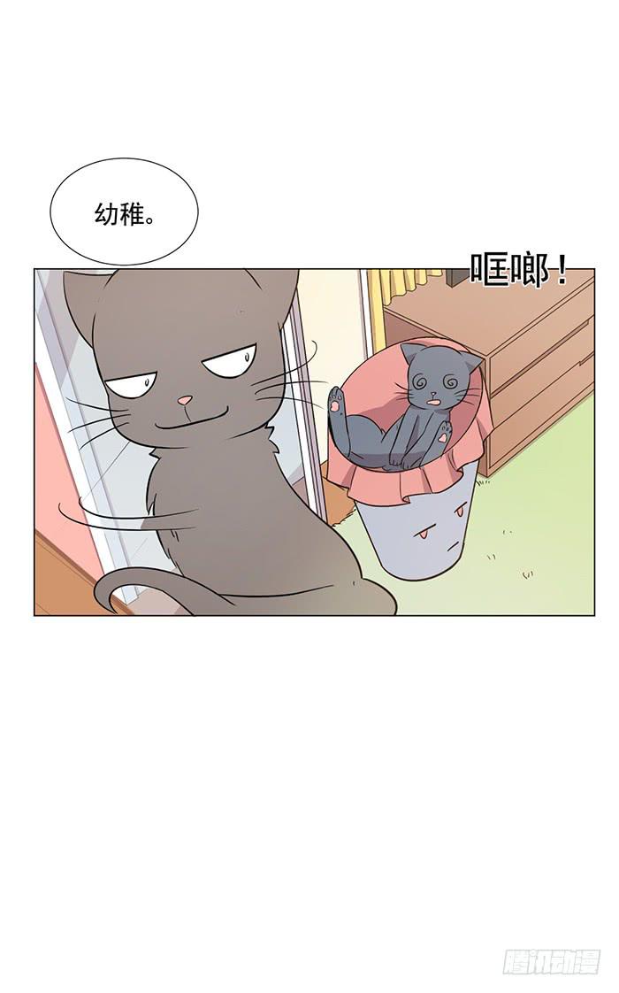 《双喵图腾》第041话 第25页