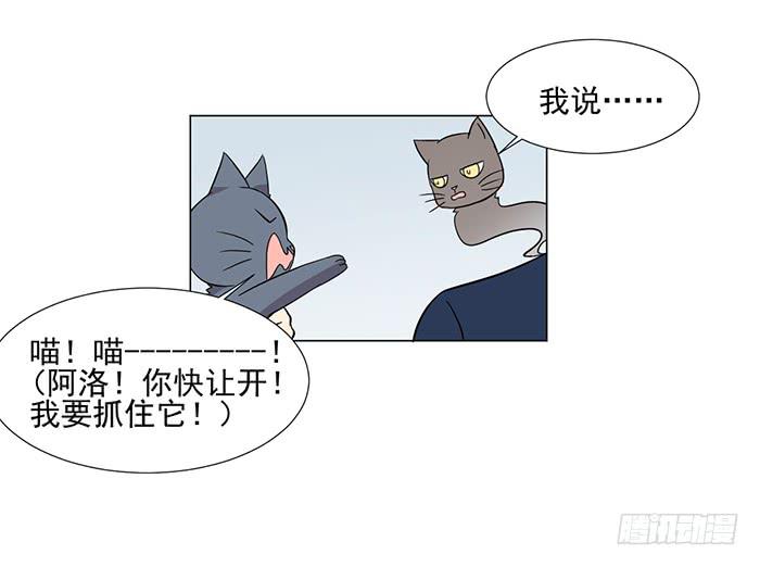《双喵图腾》第041话 第27页