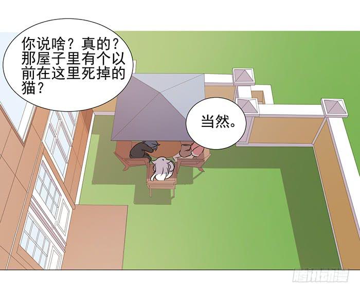 《双喵图腾》第041话 第2页