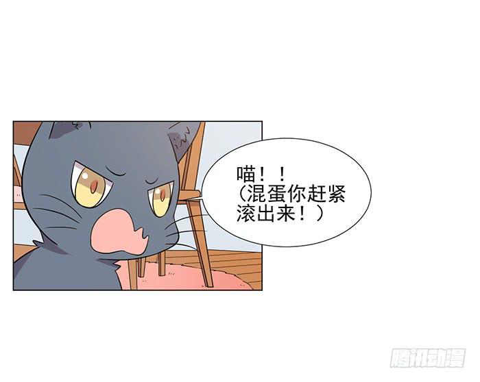 《双喵图腾》第041话 第31页