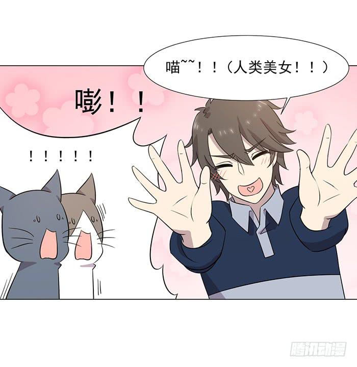 《双喵图腾》第041话 第34页