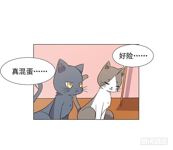 《双喵图腾》第041话 第38页