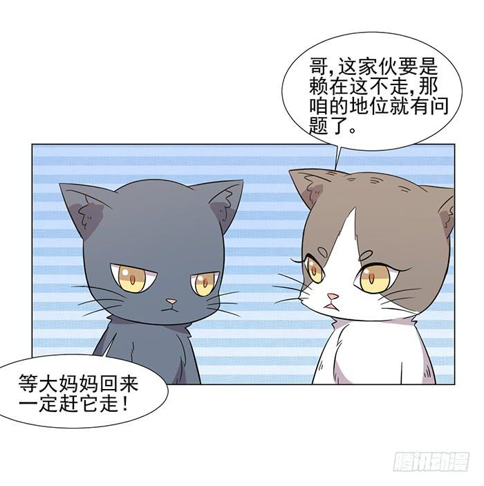 《双喵图腾》第041话 第39页