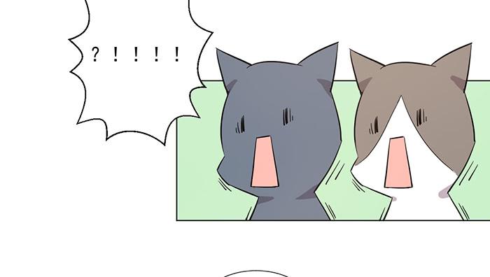 《双喵图腾》第041话 第42页