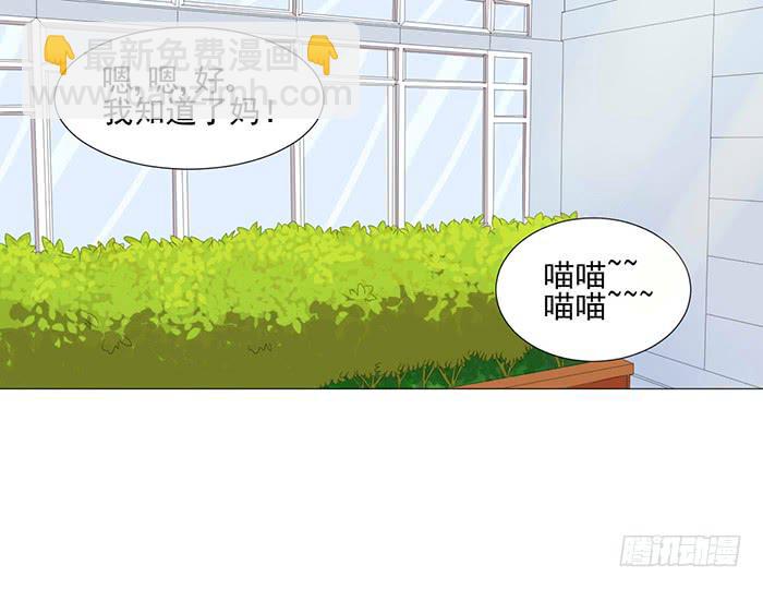 《双喵图腾》第041话 第45页