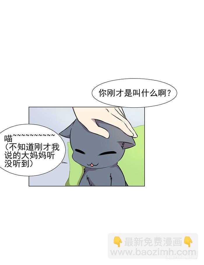 《双喵图腾》第041话 第48页