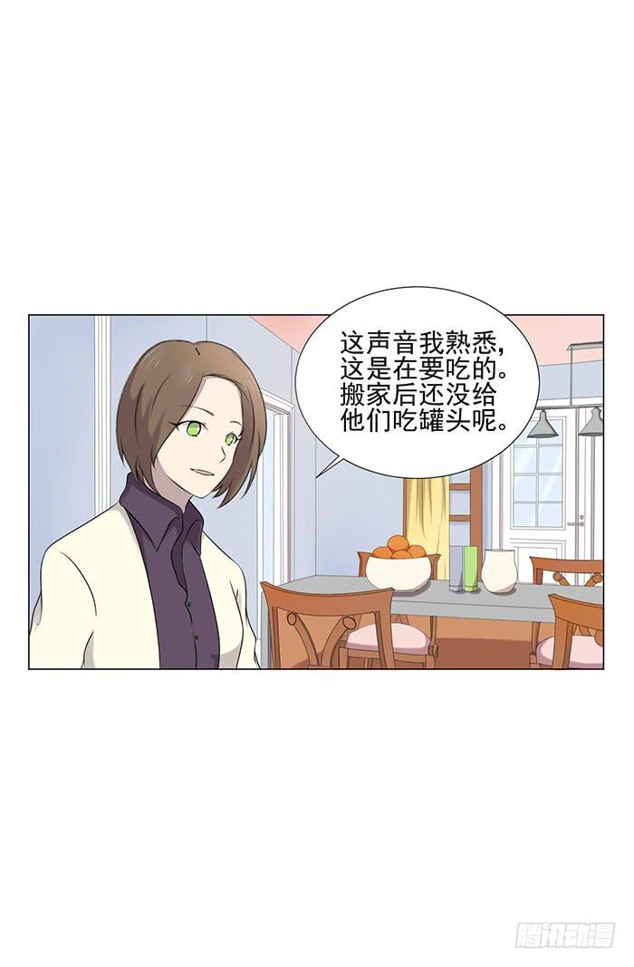 《双喵图腾》第041话 第50页