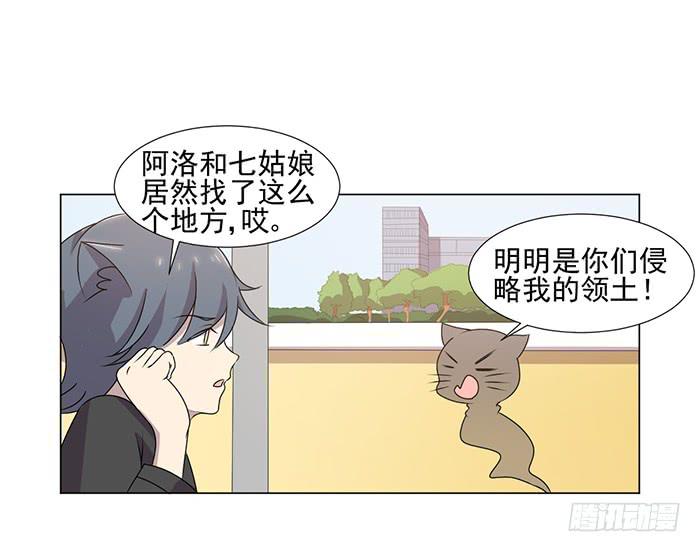 《双喵图腾》第041话 第5页