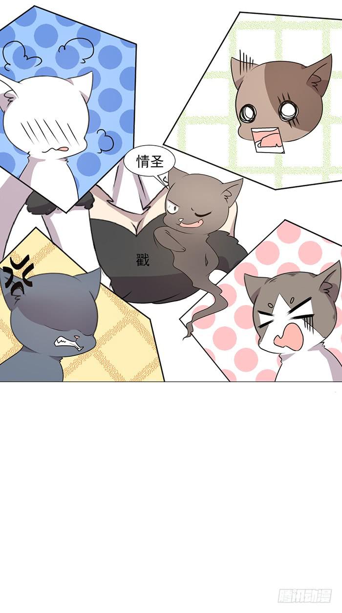 《双喵图腾》第041话 第8页