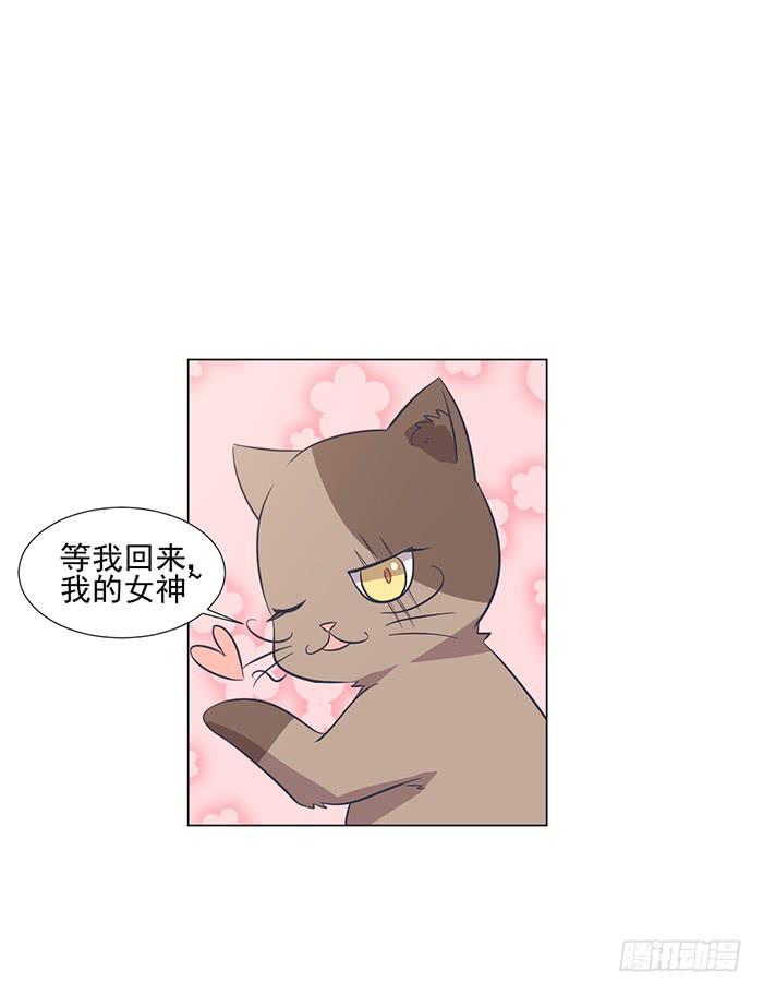 《双喵图腾》第042话 第10页