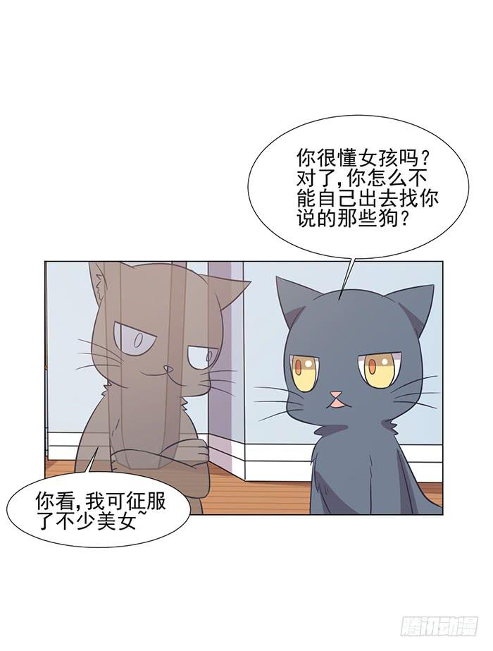 《双喵图腾》第042话 第16页