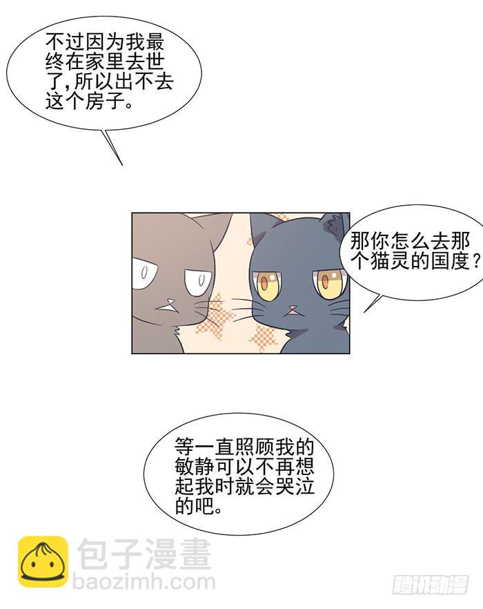 《双喵图腾》第042话 第17页