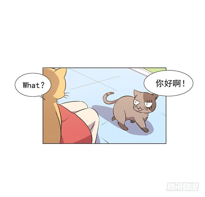 《双喵图腾》第042话 第20页