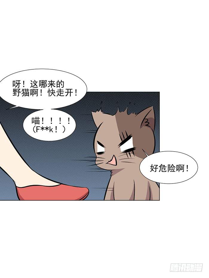 《双喵图腾》第042话 第21页