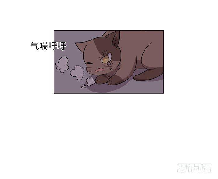 《双喵图腾》第042话 第25页