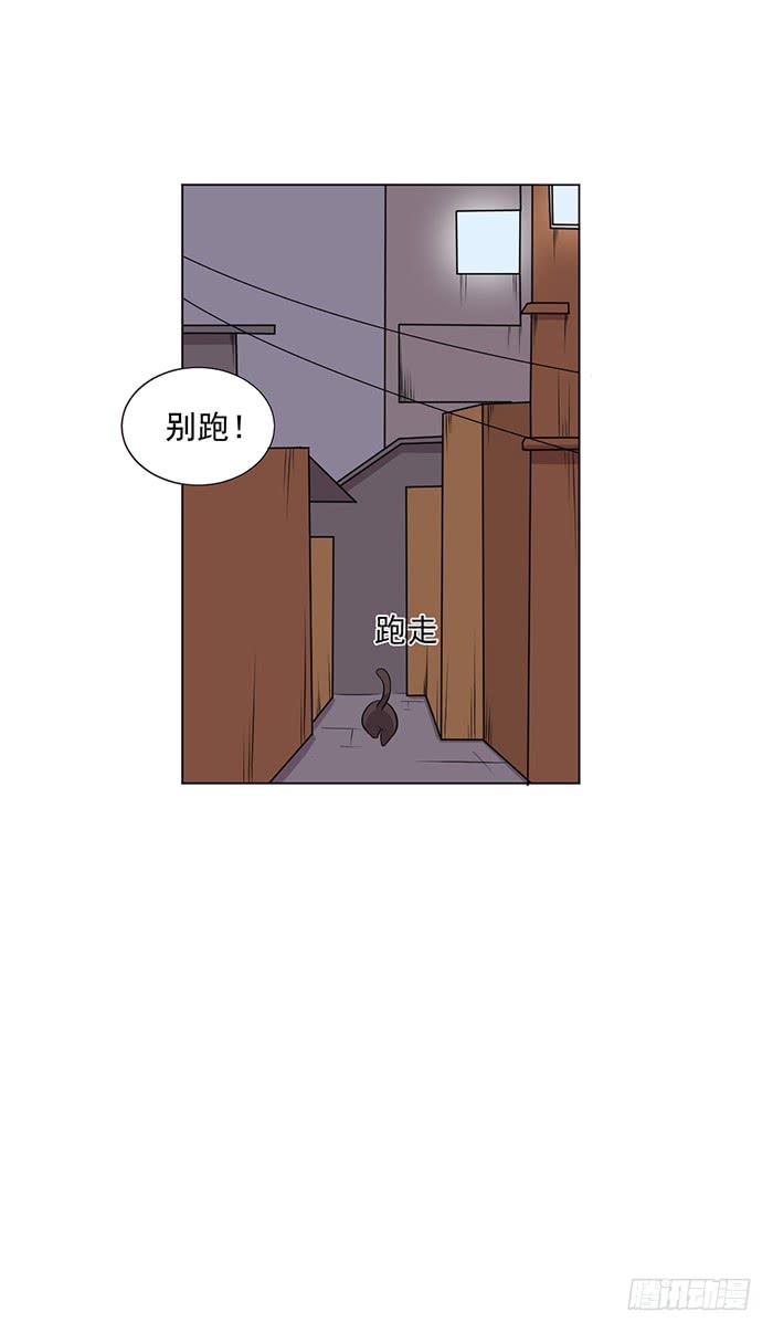 《双喵图腾》第042话 第30页