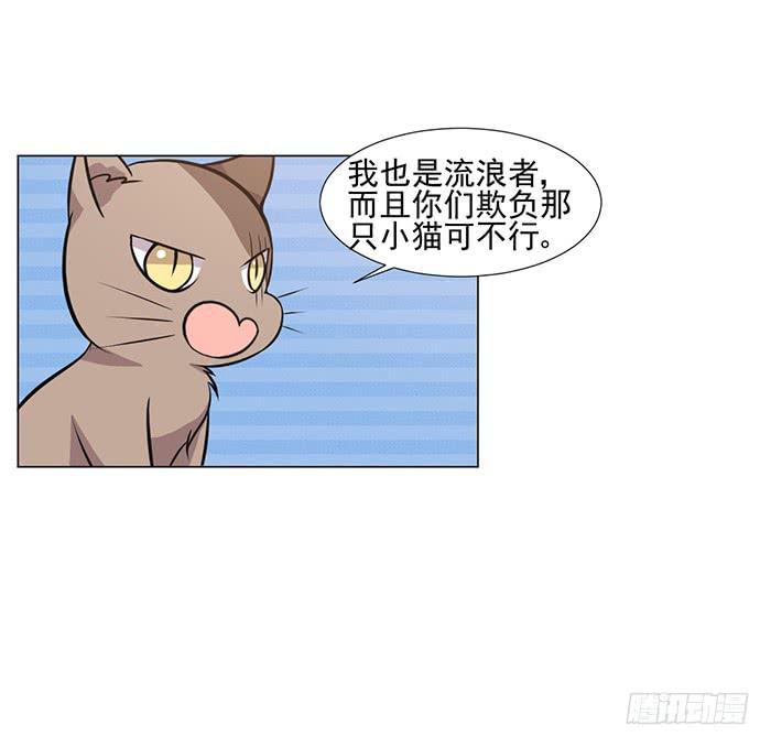 《双喵图腾》第042话 第32页
