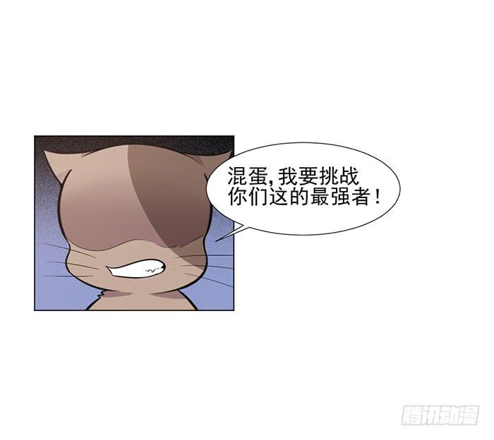 《双喵图腾》第042话 第34页