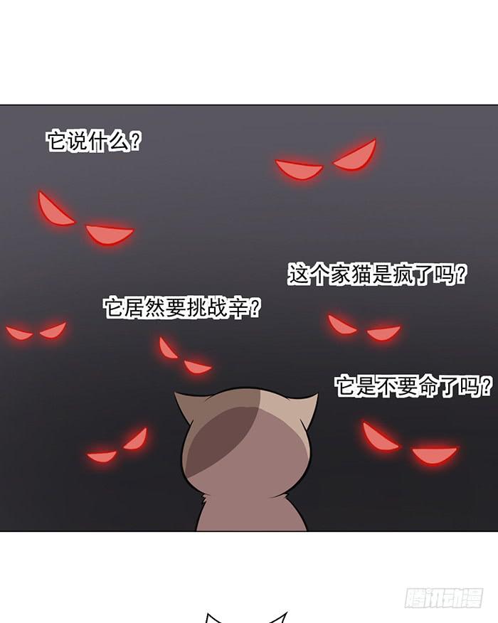 《双喵图腾》第042话 第35页