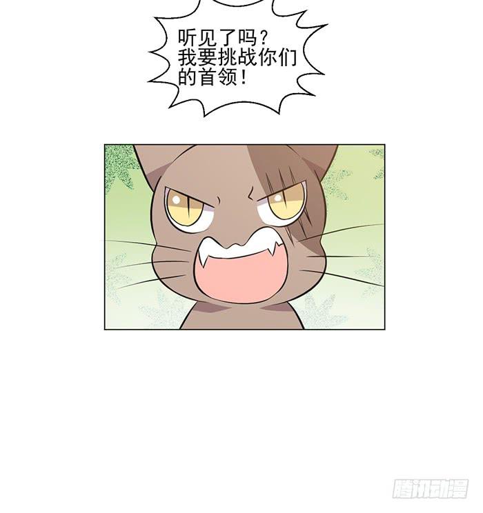 《双喵图腾》第042话 第36页