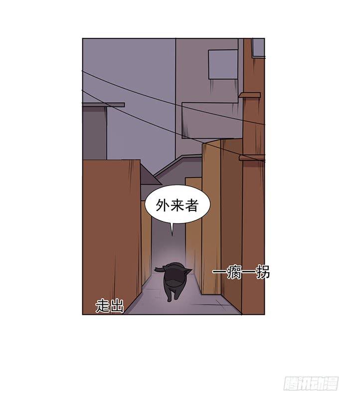 《双喵图腾》第042话 第37页