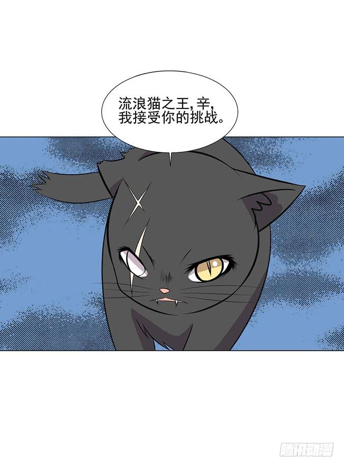 《双喵图腾》第042话 第38页