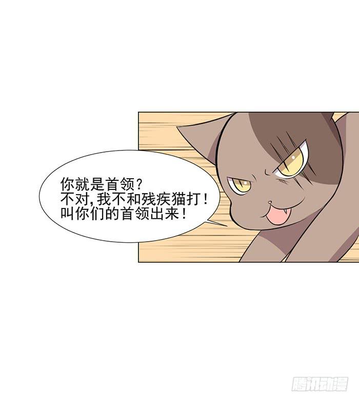 《双喵图腾》第042话 第39页