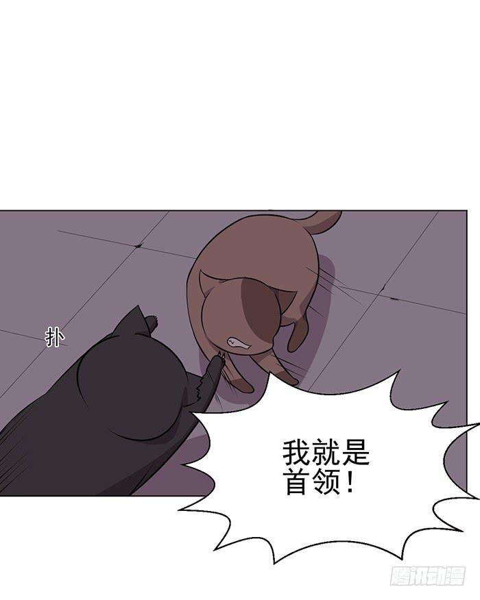 《双喵图腾》第042话 第40页