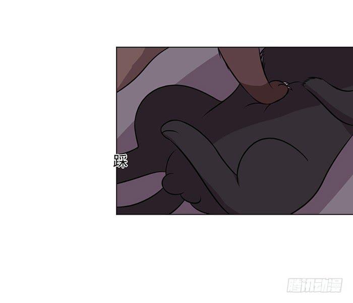 《双喵图腾》第042话 第41页
