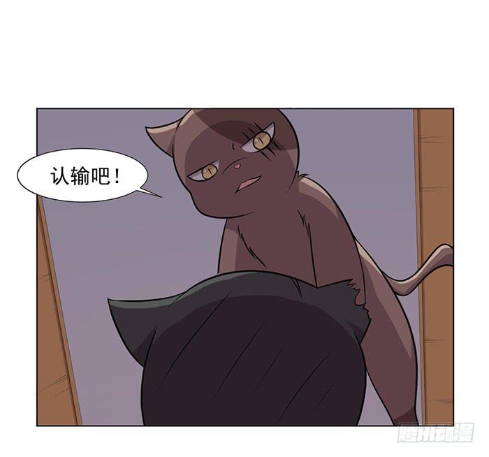 《双喵图腾》第042话 第42页